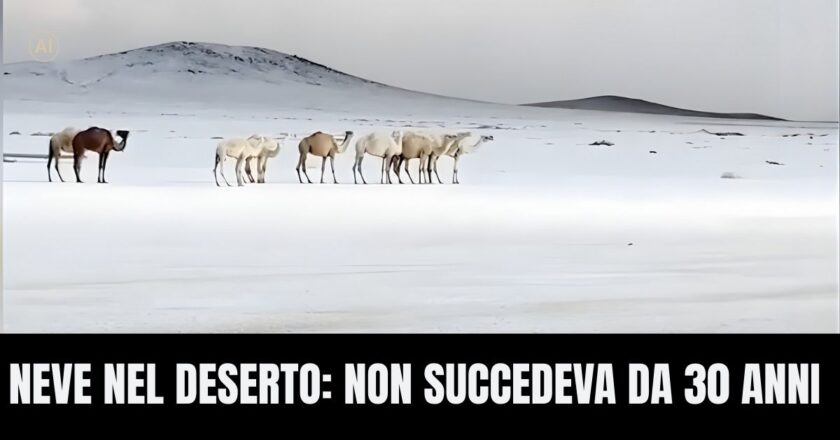 Neve nel deserto: quello che è successo non si vedeva da 30 anni